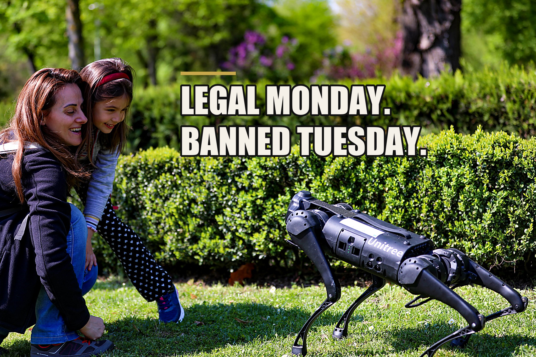 A smiling mother and young daughter crouch in a sunlit park, reaching toward a black Unitree four-legged robot walking across the grass toward them